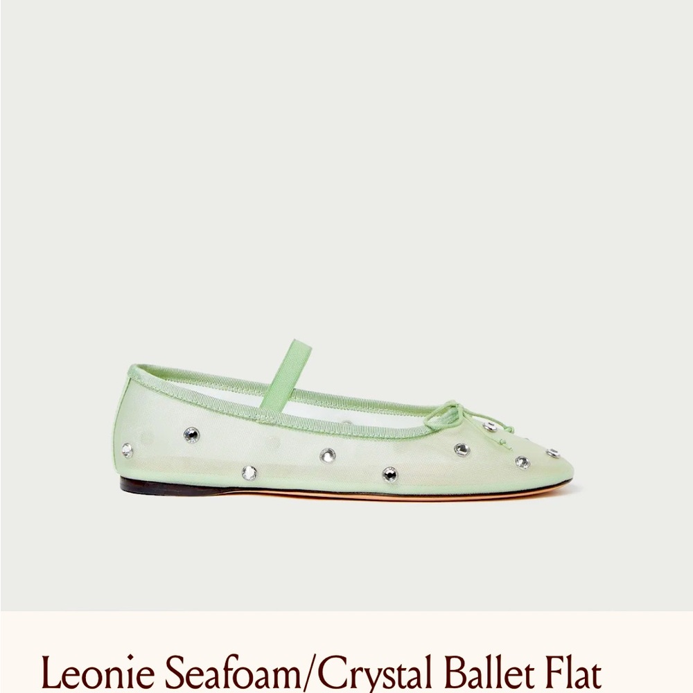 Leonie Seafoam/Crystal Ballet Flat 
Never worn 
9.5